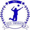 ASD PRIMAVERA BAIANO