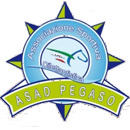 ASAD PEGASO