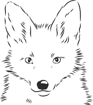 https://www.guiscards.it/wp-content/uploads/2022/04/fox-head-sketch-mod-t3.png