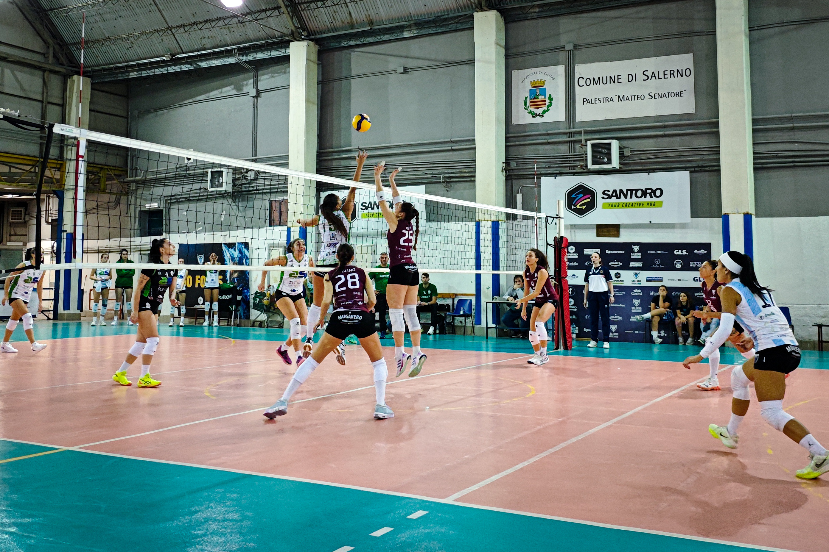 2025-11-volley-g04_004 2025-11-volley-g04_004