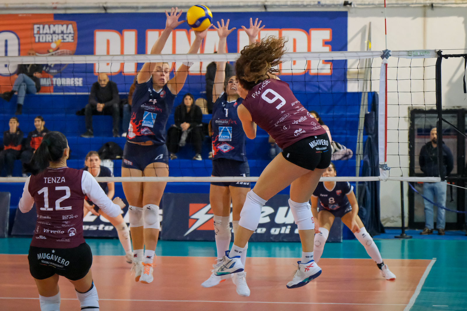2025-12-volley-g11_007