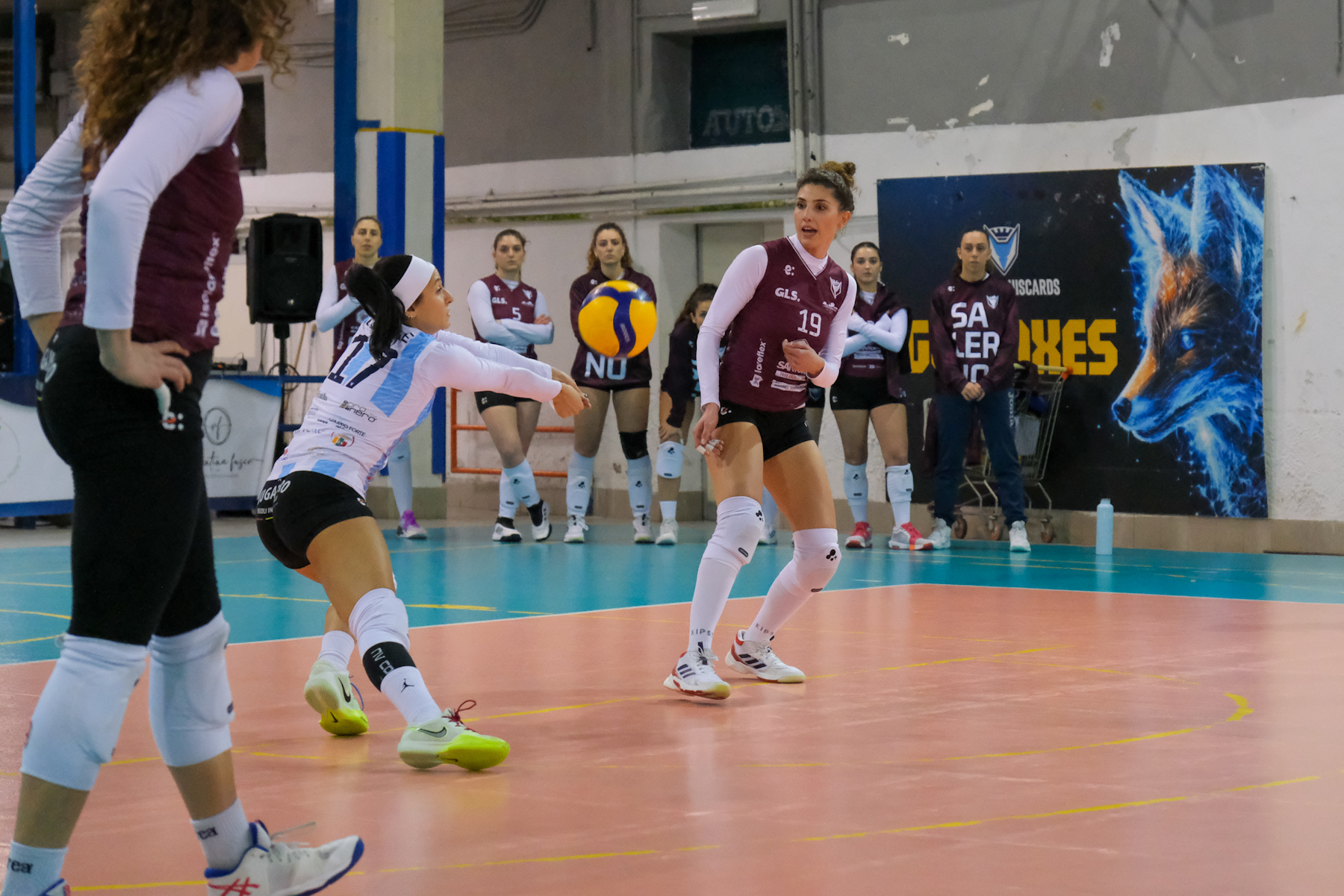 2026-02-volley-g14_006 2026-02-volley-g14_006