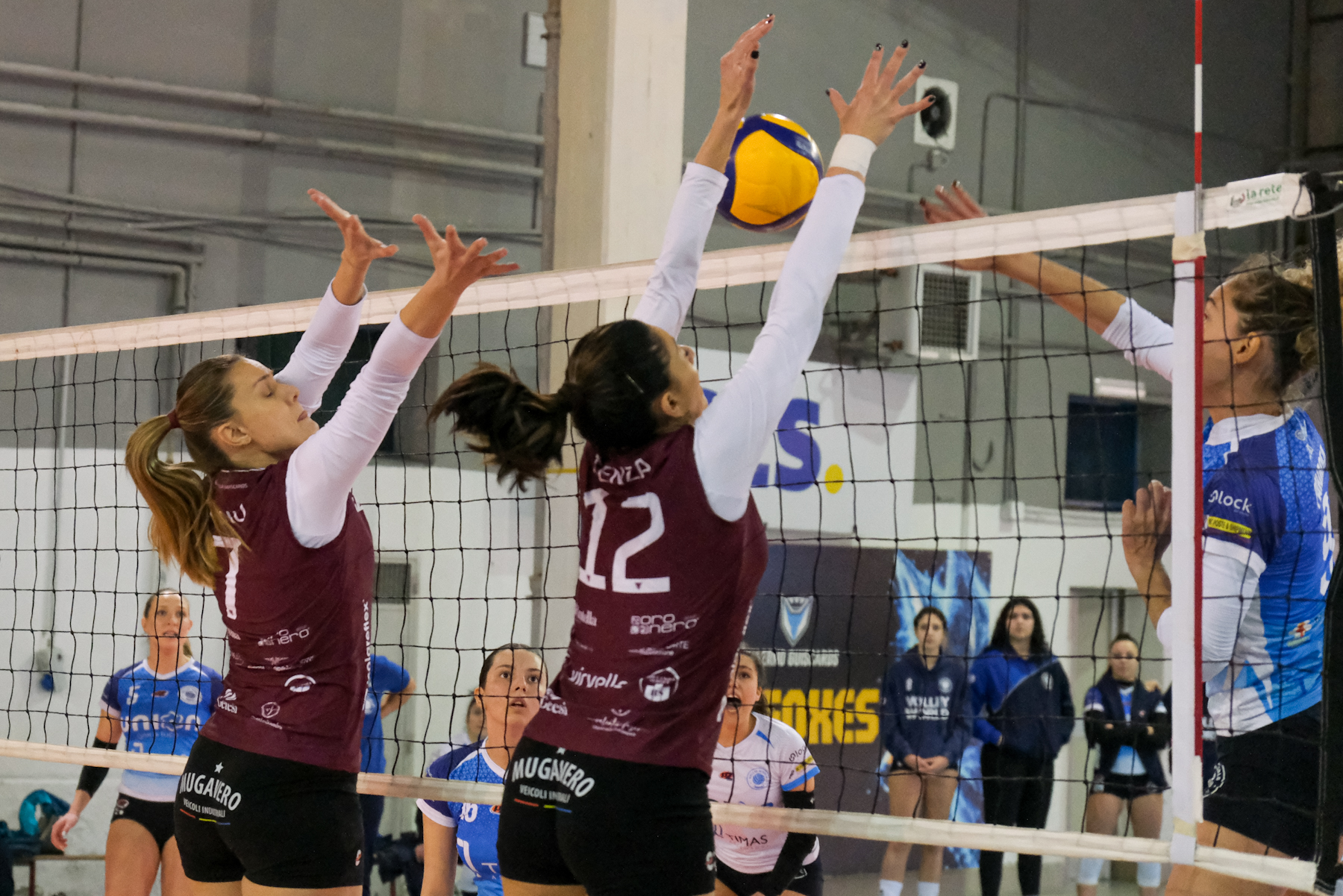 2026-02-volley-g16_008