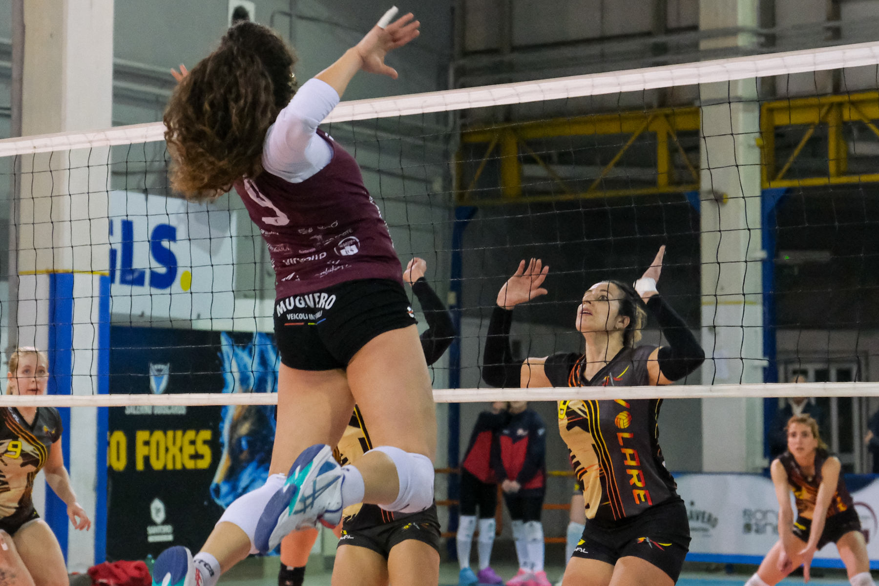 2026-03-volley-g18_002