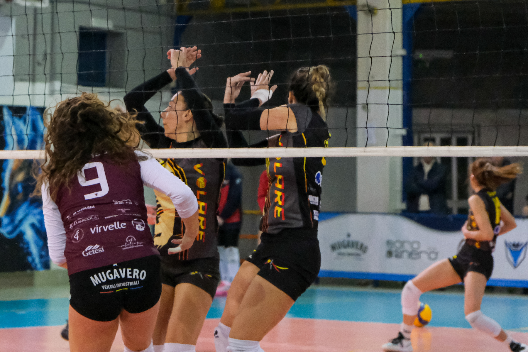 2026-03-volley-g18_003