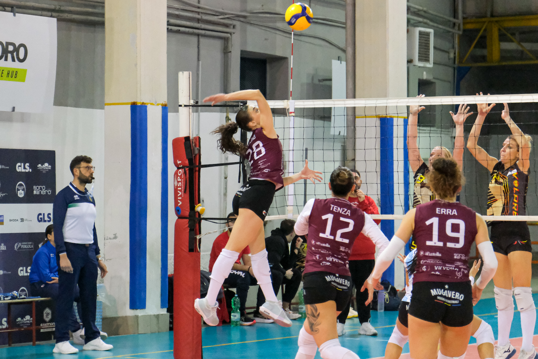 2026-03-volley-g18_009