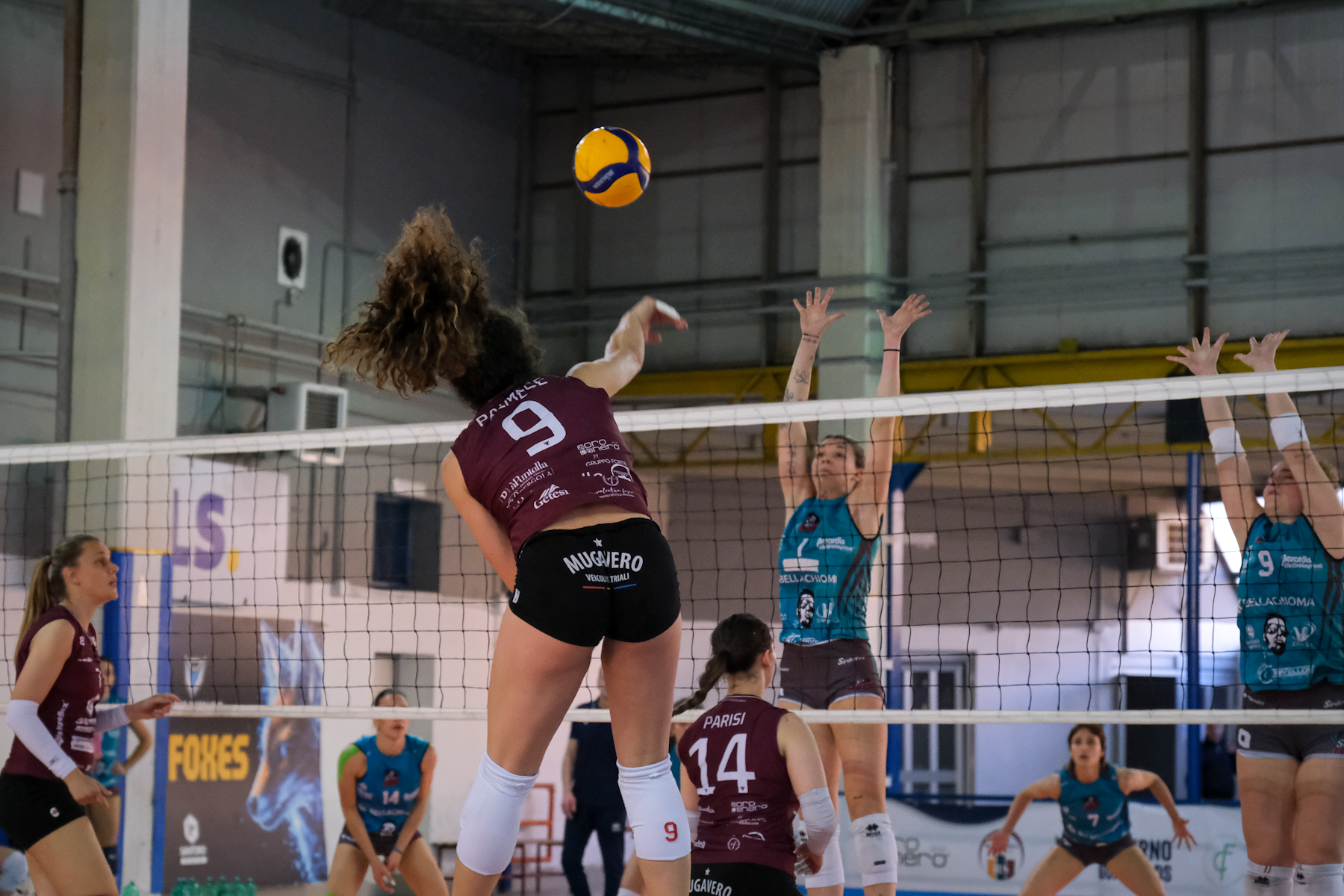 2026-04-volley-g22_001