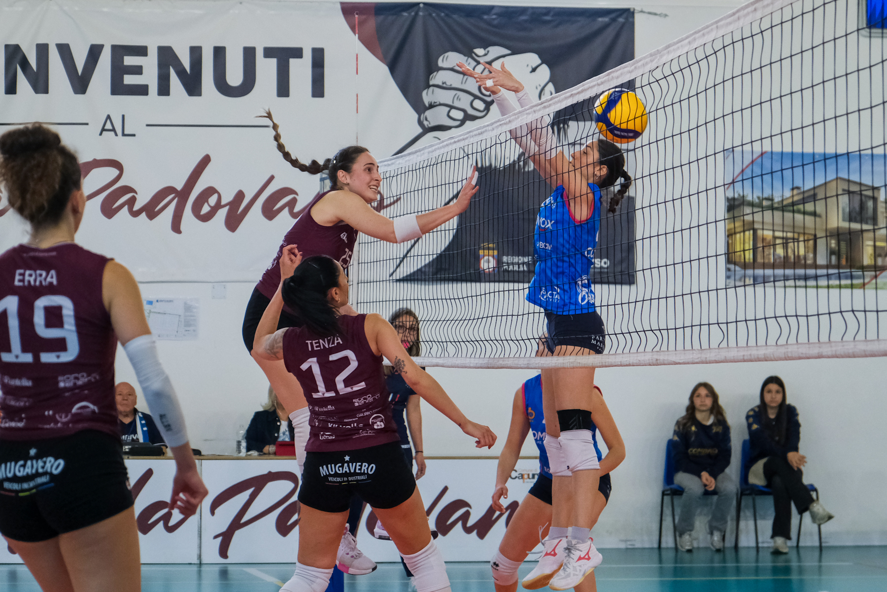 2026-05-volley-g26_012