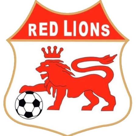 PICCOLO STADIO RED LIONS